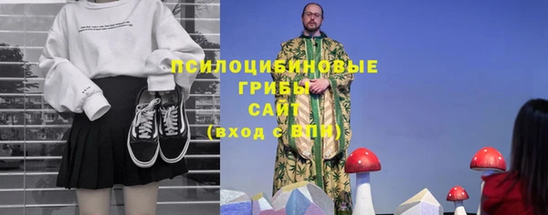 гашик Баксан