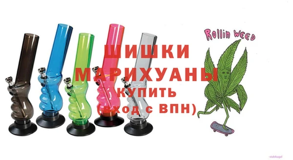 индика Балабаново