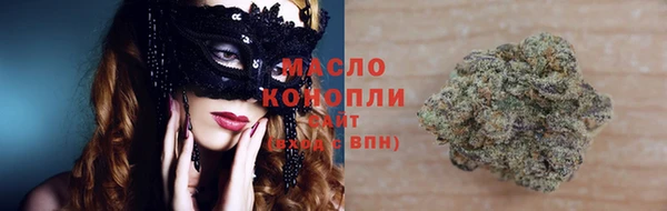 индика Балабаново