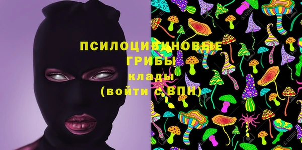гашик Баксан