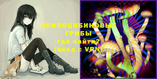 индика Балабаново