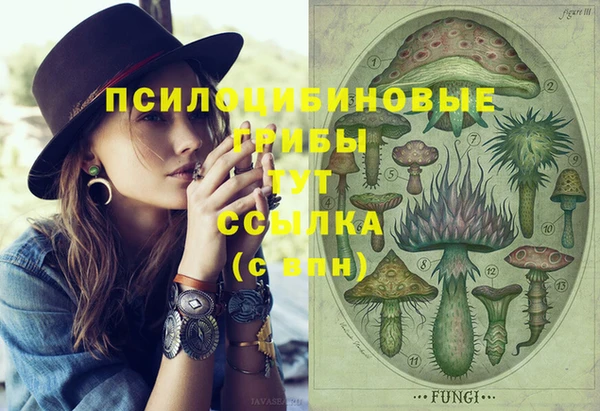дмт Балахна