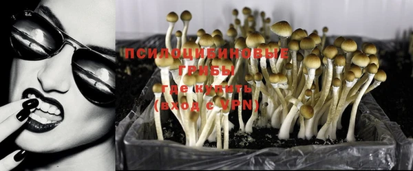 гашик Баксан