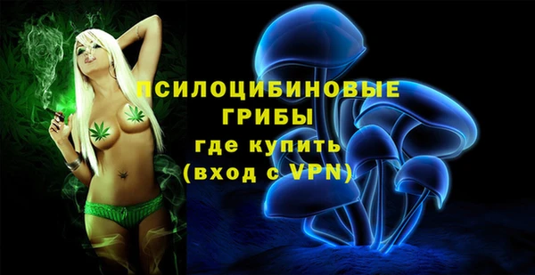 гашик Баксан