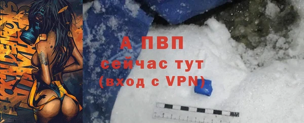индика Балабаново